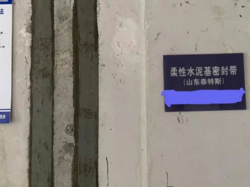 泰特斯為何成為行業(yè)翹楚？“精、尖、專(zhuān)”是關(guān)鍵！
